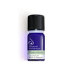 Peppermint Essential Oil