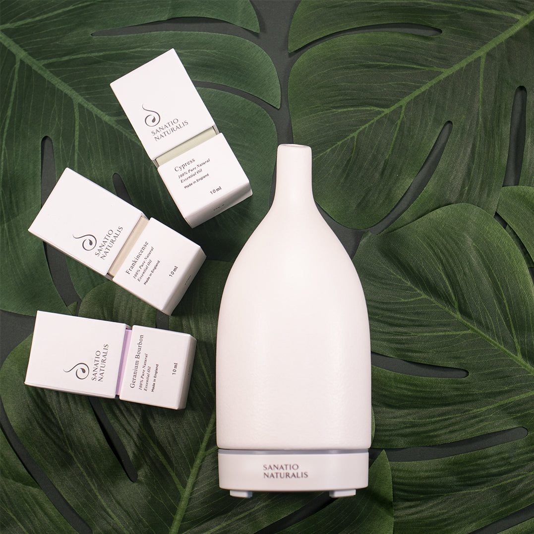 Porcelien Diffuser Porcelain Diffuser | Luxury Diffusers | Sanatio Naturalis