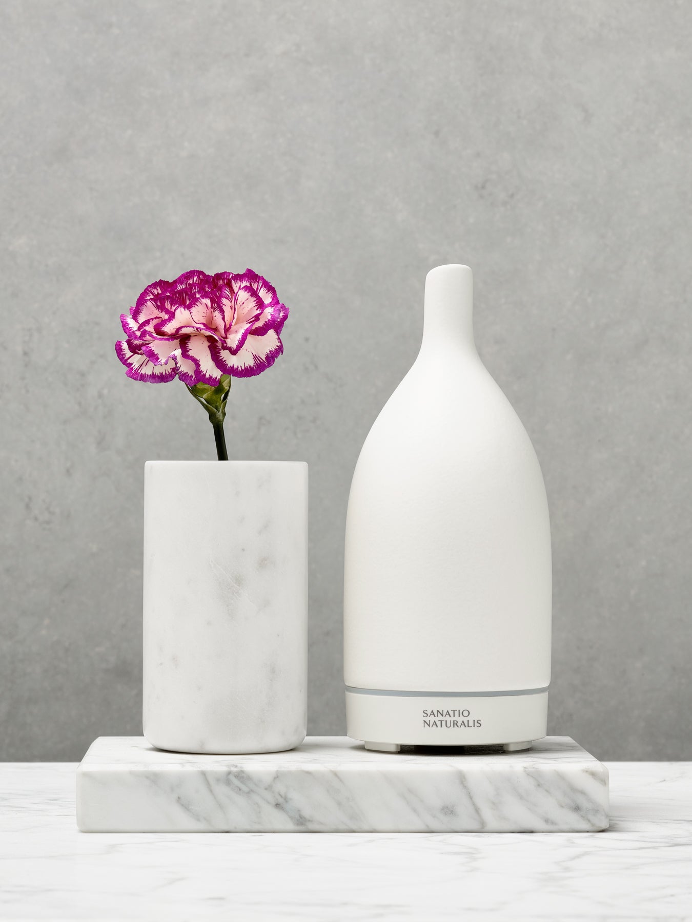 Porcelien Diffuser Porcelain Diffuser | Luxury Diffusers | Sanatio Naturalis